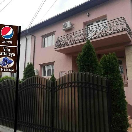 Casa Cattleya Hotel Târgu Jiu Екстериор снимка