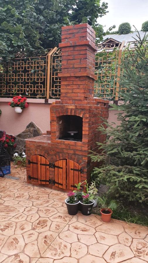 Casa Cattleya Hotel Târgu Jiu Екстериор снимка